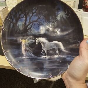 Fairyland Series (Trails of Starlight) Limited Edition Collector Plate #11174C